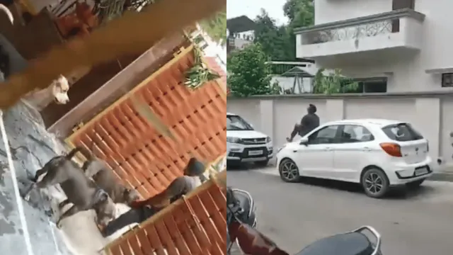 delivery-boy-gets-brutally-attacked-by-three-pet-dogs-in-raipur-internet-demands-owners-arrest-viral-video